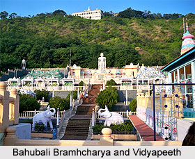 Bahubali Bramhcharya and Vidyapeeth, Maharashtra