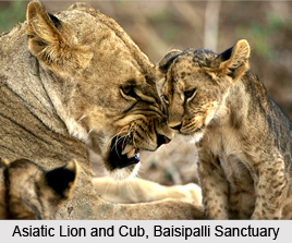 Baisipalli Wildlife Sanctuary, Nayagarh District