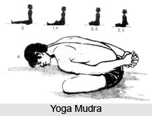 Balesu hasti baladini, Patanjali Yoga Sutra