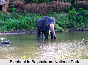 Balphakram National Park