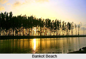 Bankot Beach, Maharashtra