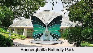 Bannerghatta Butterfly Park, Bengaluru, Karnataka