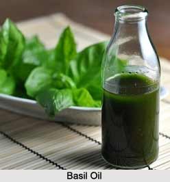 Basil Oil, Aromatherapy Product