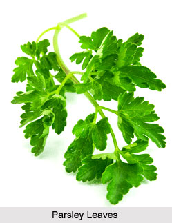 Benefits of Parsley