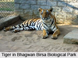 Bhagwan Birsa Biological Park, Jharkhand