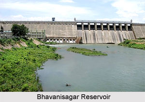 Bhavanisagar Reservoir, Tamil Nadu
