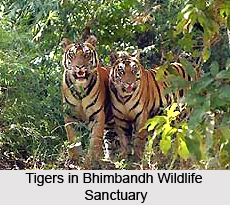 Bhimbandh Wildlife Sanctuary, Bihar