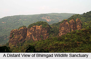 Bhimgad Wildlife Sanctuary, Belgaum District, Karnataka