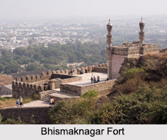 Bhismaknagar Fort, Lower Dibang Valley, Arunachal Pradesh