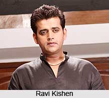 Bhojpuri Movie Actors, Indian Cinema