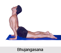 Bhujangasana