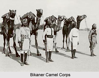 Bikaner Camel Corps, Presidency Armies in British India