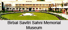 Birbal Savitri Sahni Memorial Museum, Lucknow, Uttar Pradesh