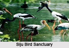 Bird Sanctuary of Meghalaya