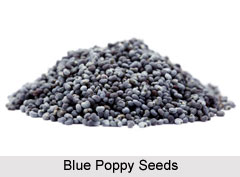 Blue Poppy Seeds