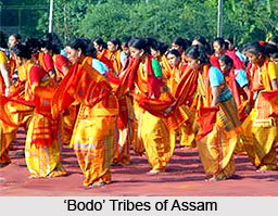 Bodo Tribe, Assam