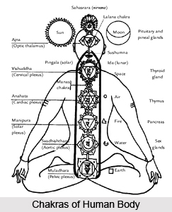 Body Confidence Chakras