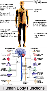 Body Functions, Jain Philosophy