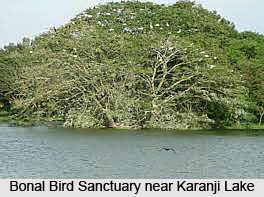 Bonal Bird Sanctuary, Yadgir District, Karnataka