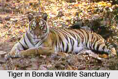 Bondla Wildlife Sanctuary, Goa