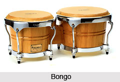 Bongo, Percussion Musical Instrument