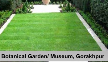 Botanical Garden/ Museum, Gorakhpur