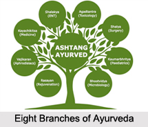 Branches of Ayurveda