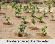Briksharopan and Halkarshan, Shantiniketan, West Bengal