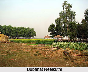 Bubahat Neelkuthi, Birbhum District