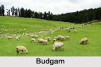 Budgam, Budgam District, Jammu and Kashmir