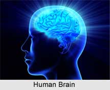 Budh, Intelligence, Buddhism