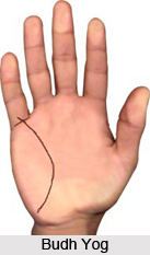 Budh Yog , Palmistry