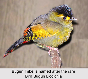 Bugun Tribe, Arunachal Pradesh