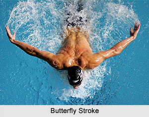 Types of Strokes in Swimming