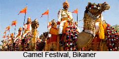 Camel Festival, Bikaner, Rajasthan