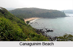 Canaguinim Beach, Goa