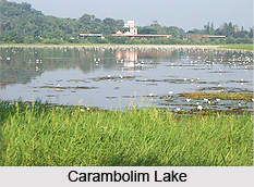 Carambolim Lake, Goa