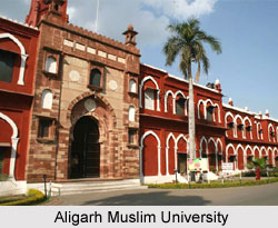 Career of Syed Ahmed Khan - Aligarh Muslim University