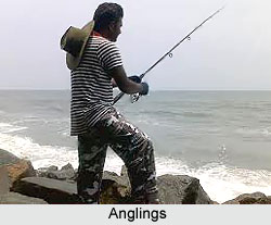 Categories of Anglings