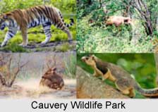 Cauvery Wildlife Park, Karnataka