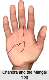 Chandra and the Mangal Yog  , Palmistry