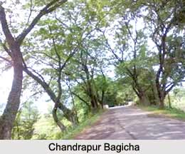 Chandrapur Bagicha, Kamrup District, Assam