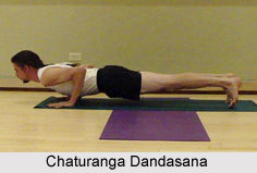 Chaturanga Dandasana, Yoga Asana