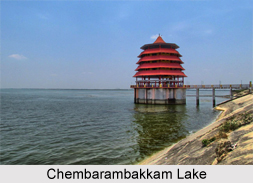 Chembarambakkam Lake, Tamil Nadu