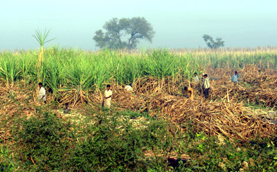 Chhaprabhatha, Gujarat