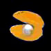 Chitra