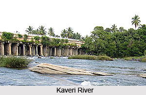 Cholas, History of South India