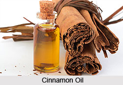Cinnamon Oil