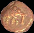 Coins of Mysore Sultans
