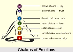 Companion Chakras